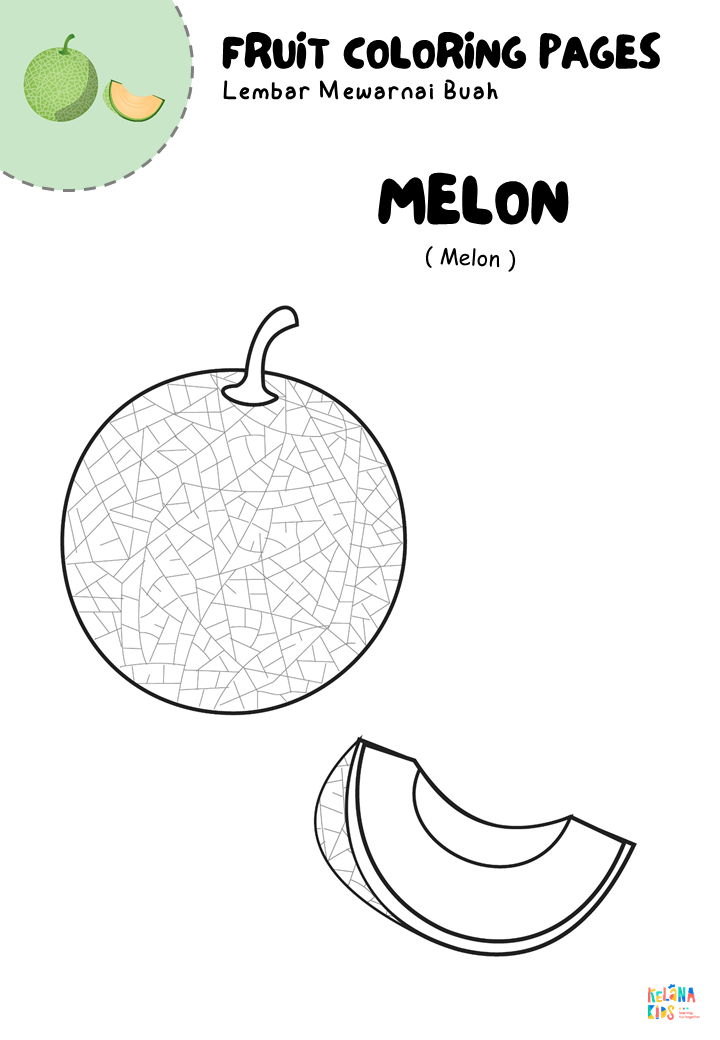 Detail Mewarnai Gambar Buah Melon Nomer 29