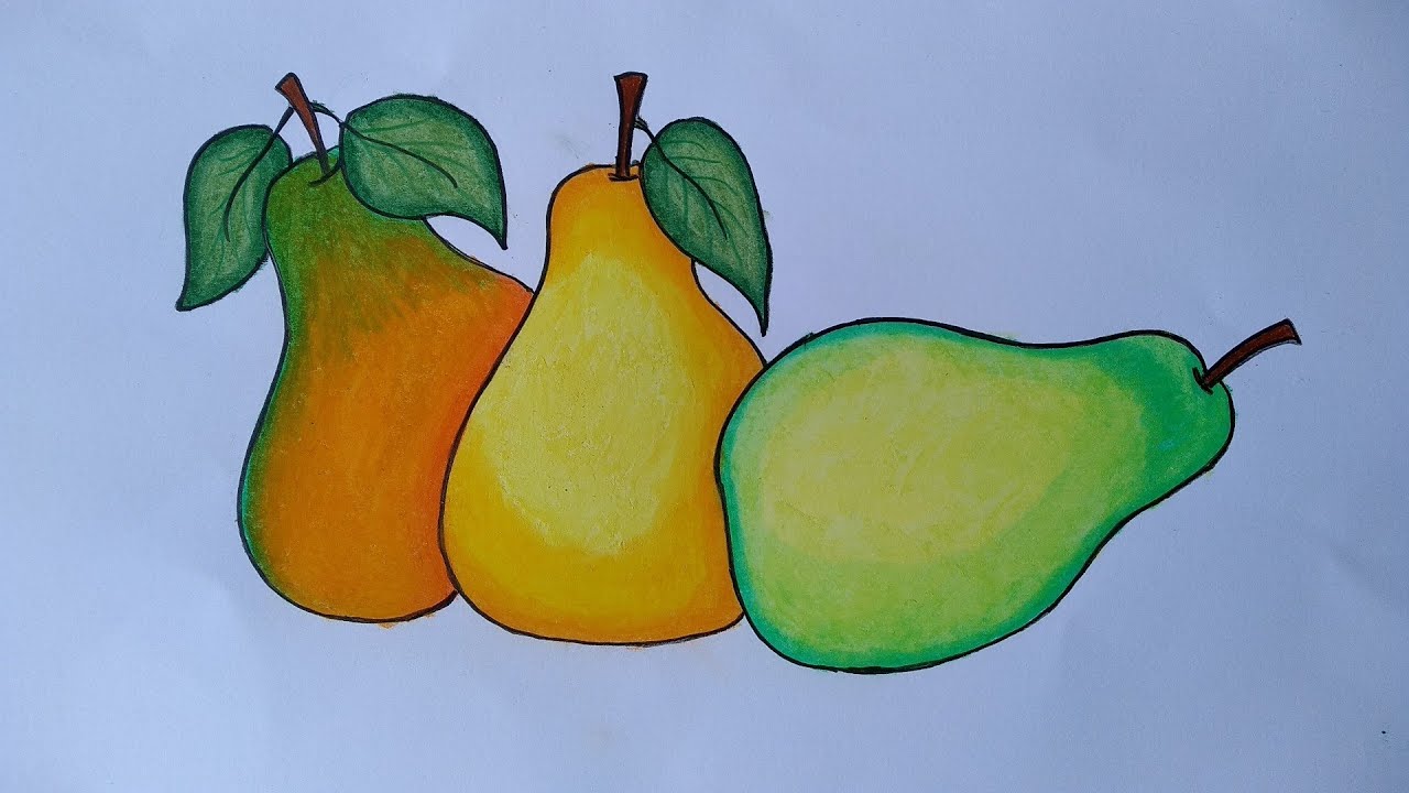 Detail Mewarnai Gambar Buah Pear Nomer 2