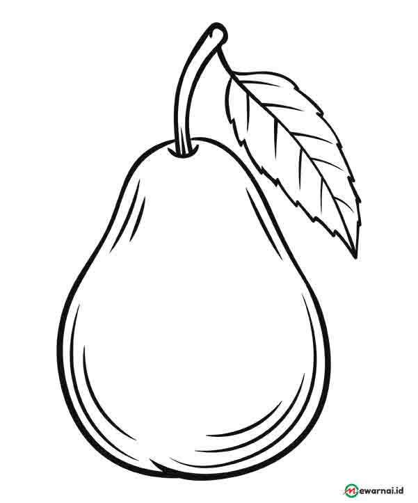 Detail Mewarnai Gambar Buah Pear Nomer 5