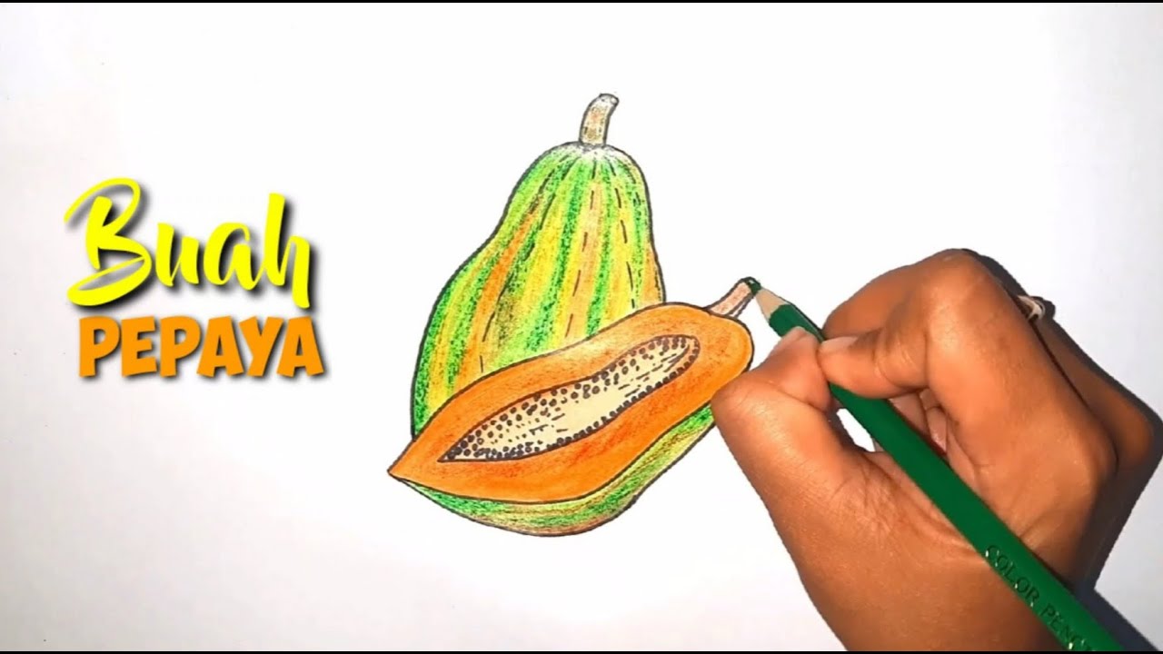 Detail Mewarnai Gambar Buah Pepaya Nomer 40