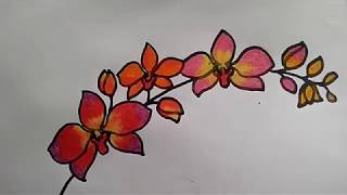 Detail Mewarnai Gambar Bunga Anggrek Nomer 24