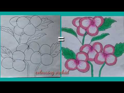 Detail Mewarnai Gambar Bunga Anggrek Nomer 46