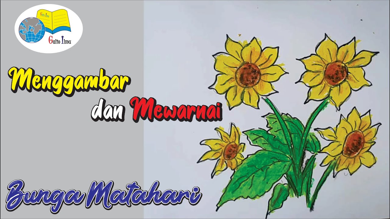 Detail Mewarnai Gambar Bunga Matahari Nomer 40