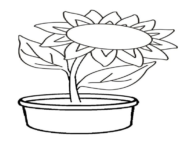 Detail Mewarnai Gambar Bunga Matahari Kartun Nomer 47