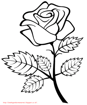 Mewarnai Gambar Bunga Mawar Merah - KibrisPDR