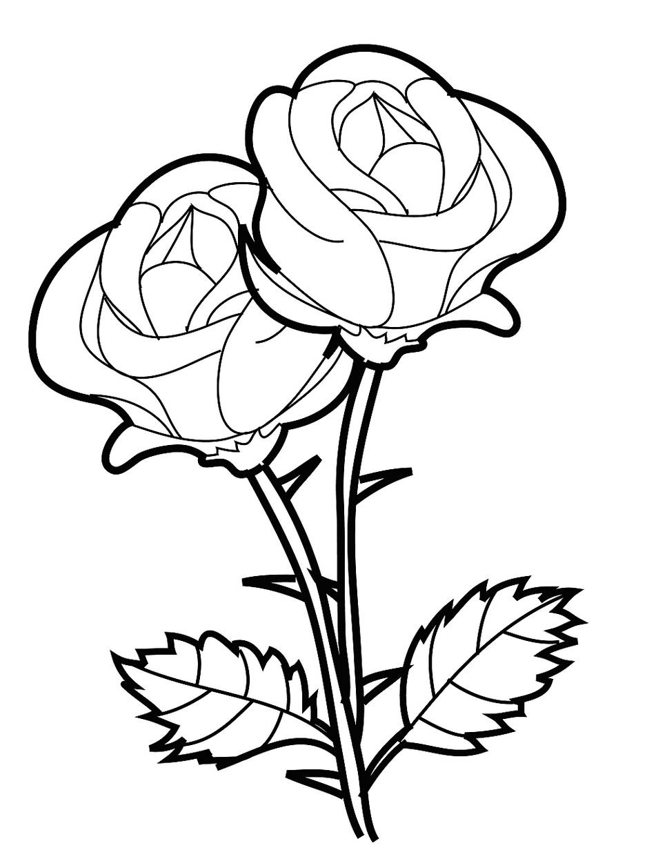 Detail Mewarnai Gambar Bunga Mawar Merah Nomer 8