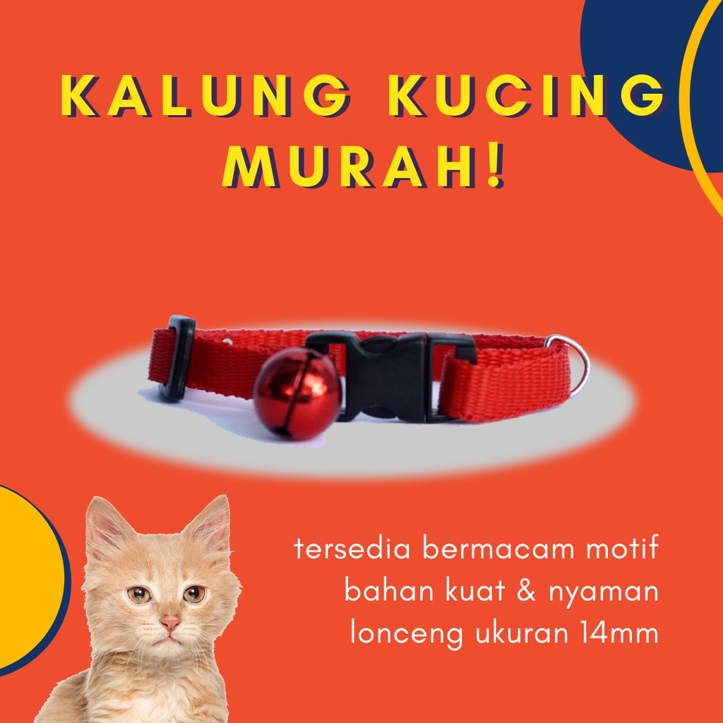 Detail Kucing Warna Merah Nomer 48