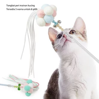 Detail Kucing Warna Warni Nomer 53