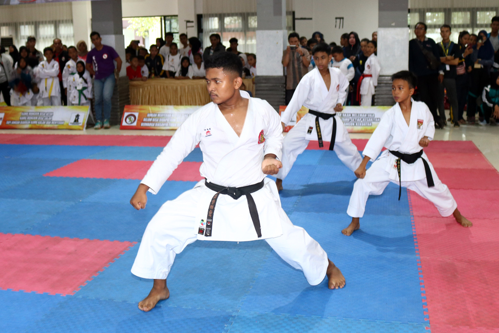 Detail Kuda Kuda Karate Nomer 15