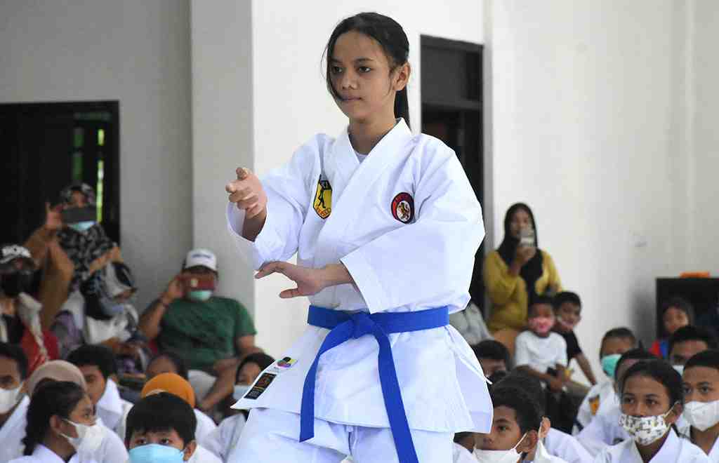 Detail Kuda Kuda Karate Nomer 50