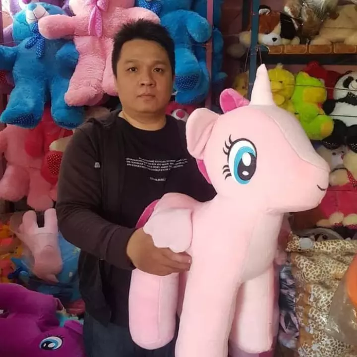 Detail Kuda Poni Asli Nomer 27