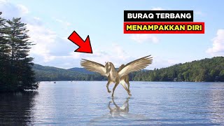 Detail Kuda Terbang Asli Nomer 44