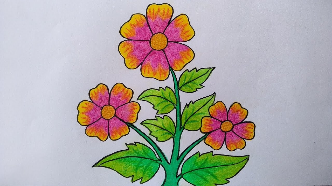 Detail Mewarnai Gambar Bunga Melati Koleksi Nomer 33