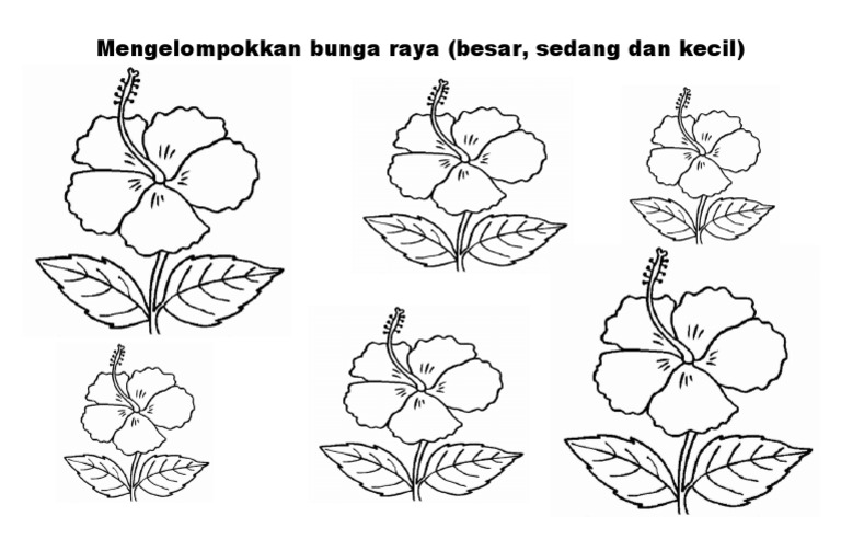 Detail Mewarnai Gambar Bunga Raya Nomer 20