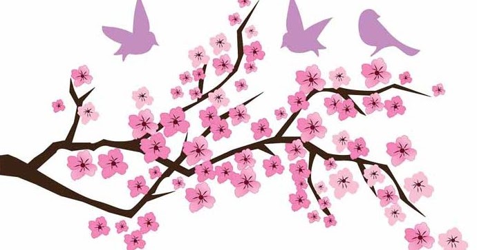 Detail Mewarnai Gambar Bunga Sakura Nomer 51