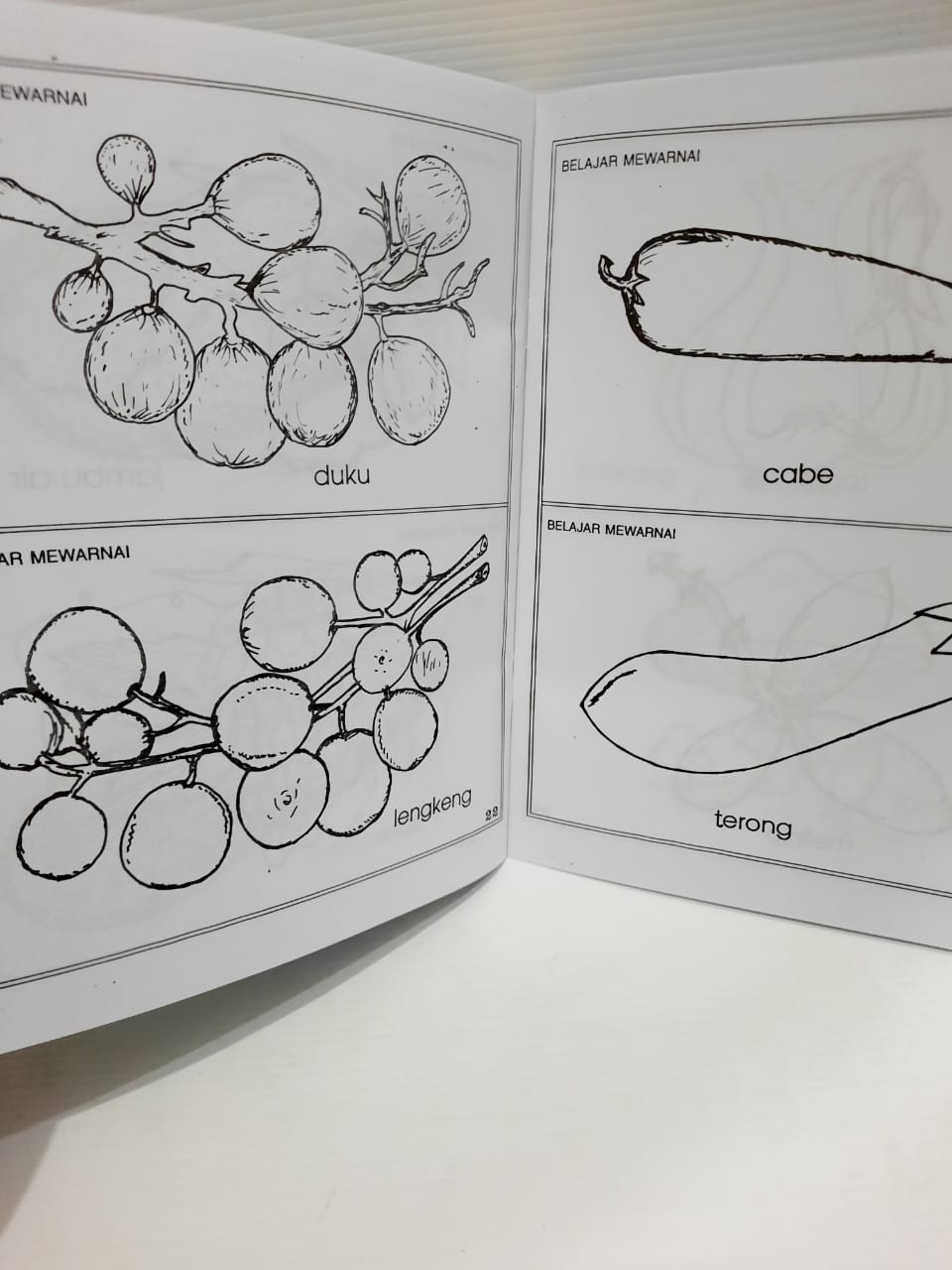 Detail Mewarnai Gambar Duku Nomer 33