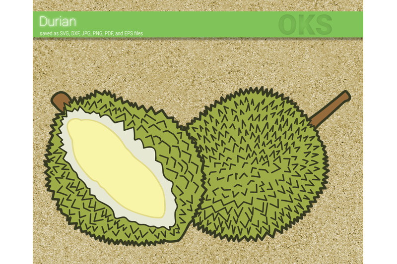 Detail Mewarnai Gambar Durian Nomer 22