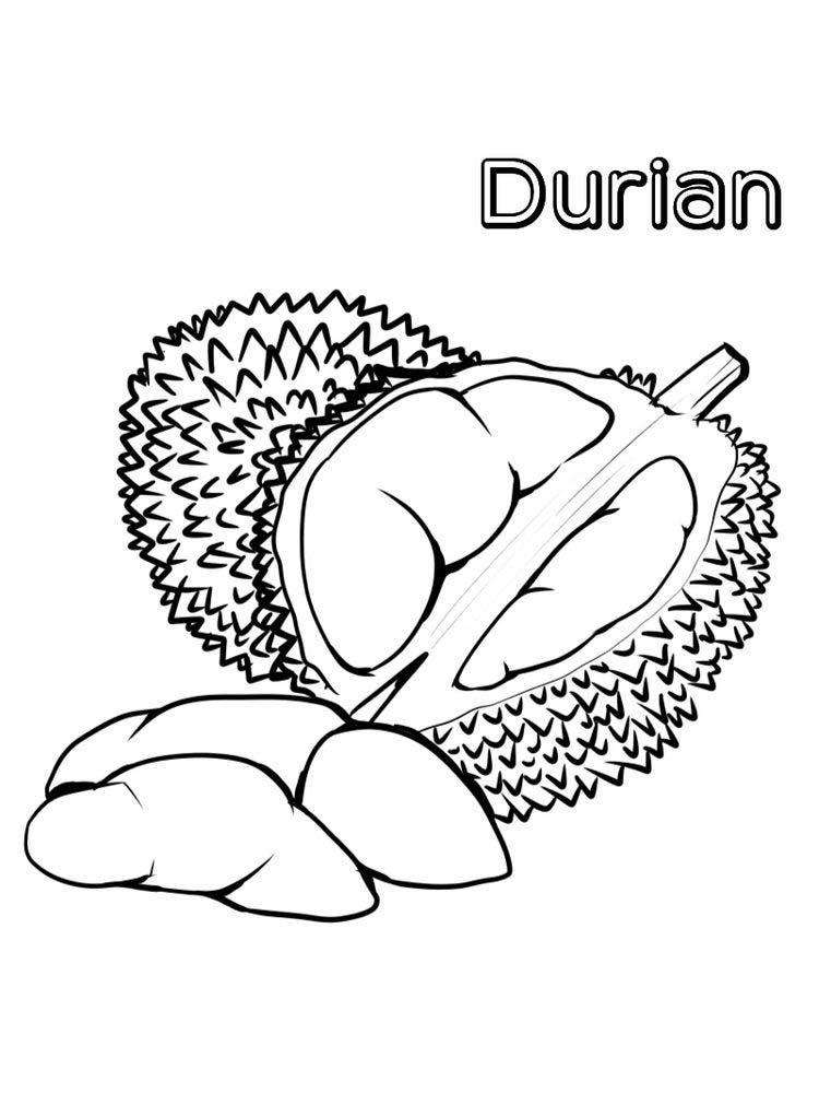 Detail Mewarnai Gambar Durian Nomer 26