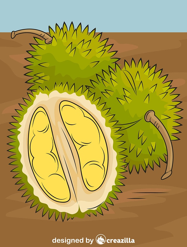Detail Mewarnai Gambar Durian Nomer 47