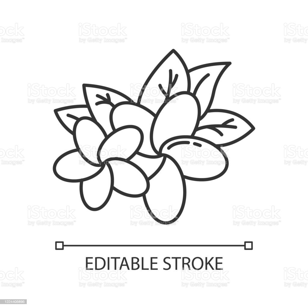 Detail Mewarnai Gambar Flora Koleksi Nomer 56