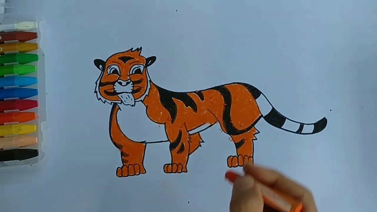 Detail Mewarnai Gambar Harimau Nomer 40