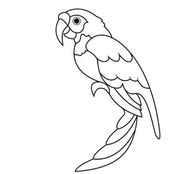 Detail Mewarnai Gambar Hewan Burung Nomer 18