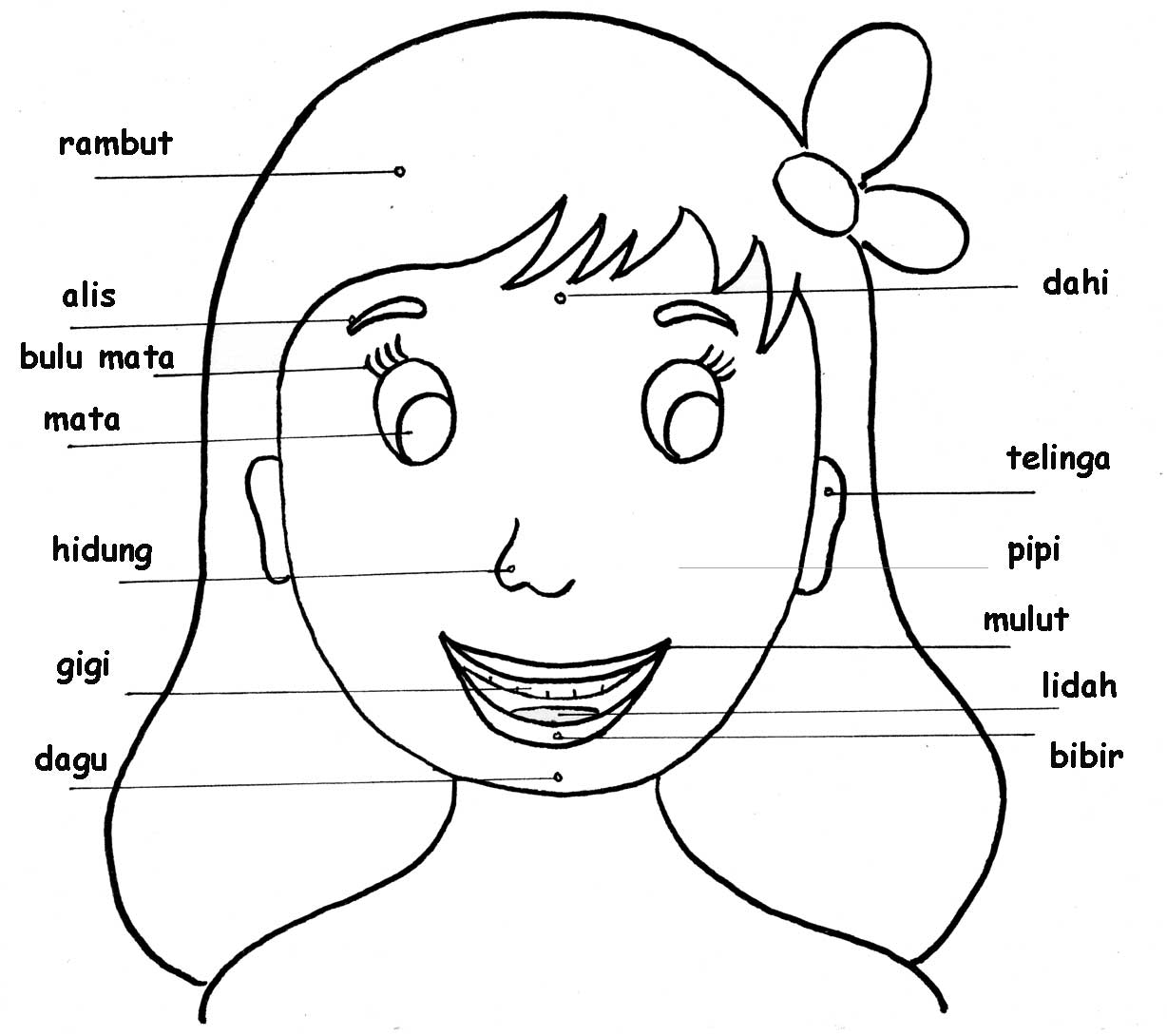 Detail Mewarnai Gambar Hidung Nomer 37