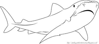 Detail Mewarnai Gambar Ikan Hiu Nomer 16
