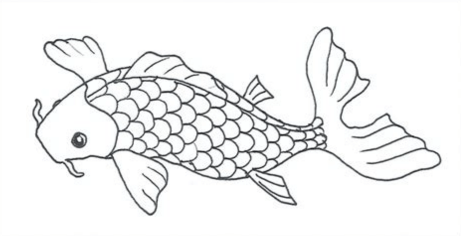 Detail Mewarnai Gambar Ikan Koi Nomer 11