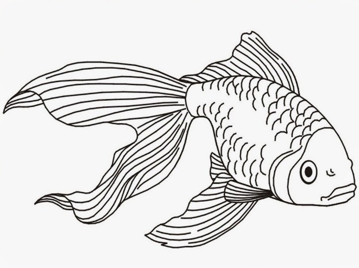Detail Mewarnai Gambar Ikan Koi Nomer 22