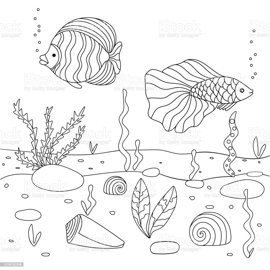Detail Mewarnai Gambar Ikan Laut Nomer 26