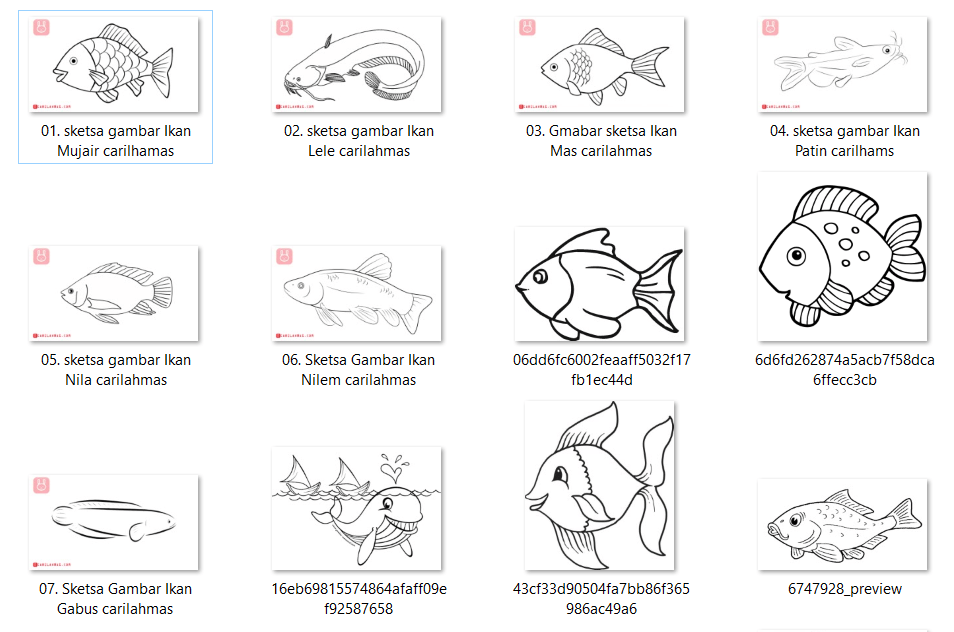 Detail Mewarnai Gambar Ikan Lele Nomer 28