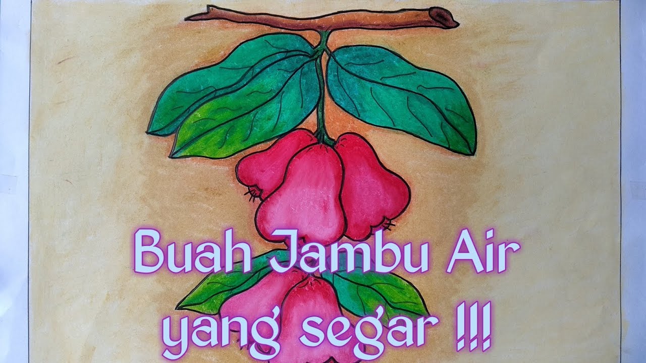 Detail Mewarnai Gambar Jambu Nomer 3