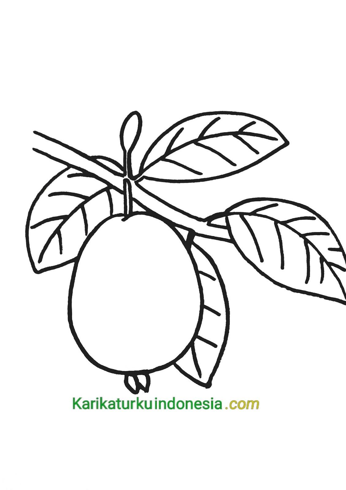 Detail Mewarnai Gambar Jambu Nomer 18