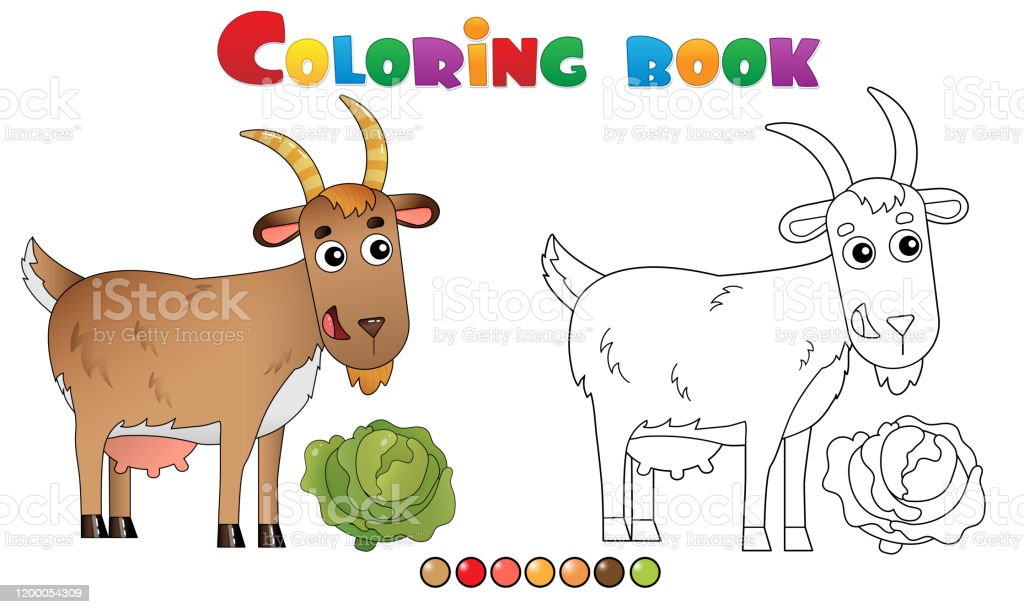 Detail Mewarnai Gambar Kambing Nomer 9