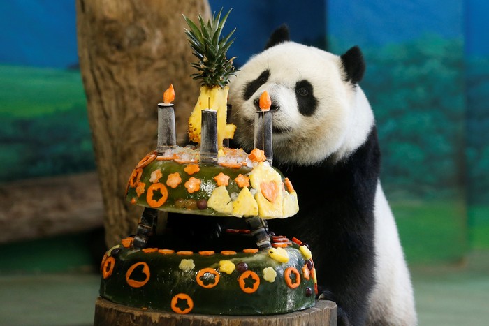 Detail Kue Ulang Tahun Panda Nomer 47