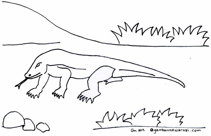 Detail Mewarnai Gambar Komodo Nomer 4