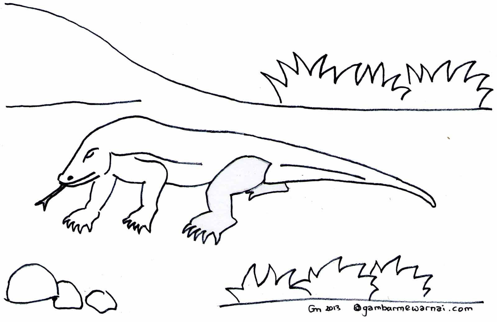 Detail Mewarnai Gambar Komodo Nomer 6