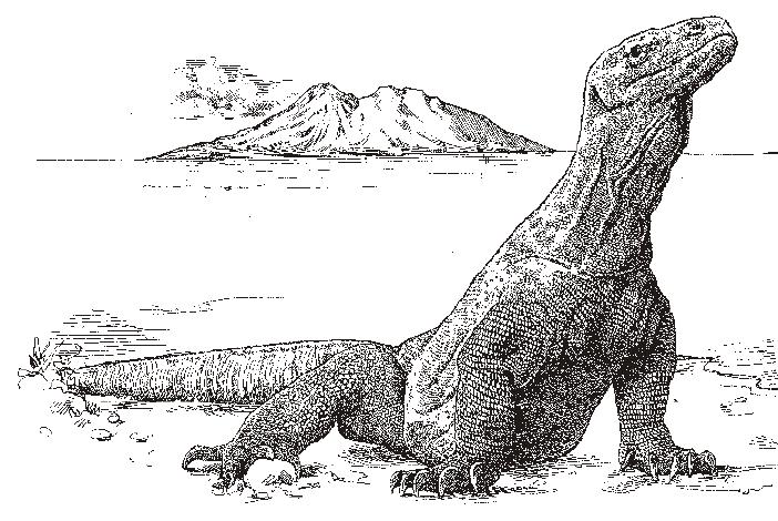 Detail Mewarnai Gambar Komodo Gambar Awan Kartun Nomer 10