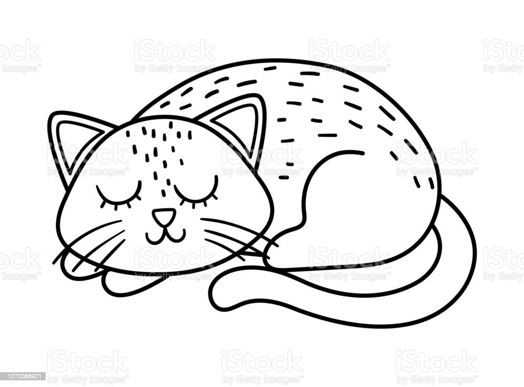 Detail Mewarnai Gambar Kucing Lucu Nomer 31