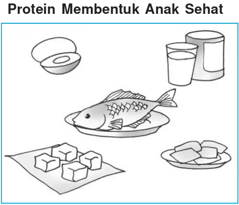 Detail Mewarnai Gambar Lauk Pauk Nomer 8