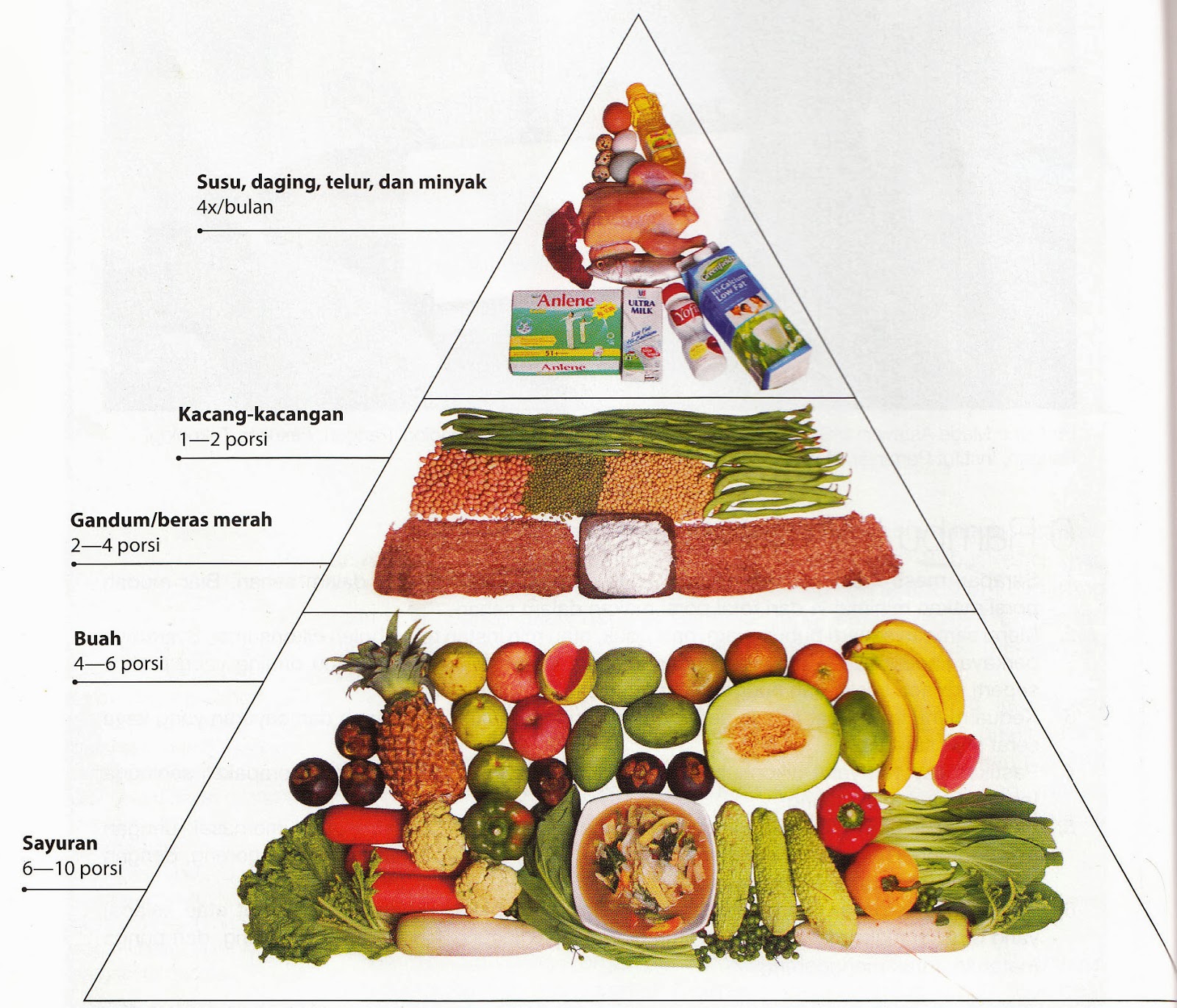 Detail Mewarnai Gambar Makanan 4 Sehat 5 Sempurna Nomer 28