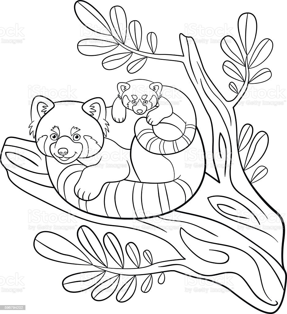 Detail Mewarnai Gambar Panda Lucu Nomer 35