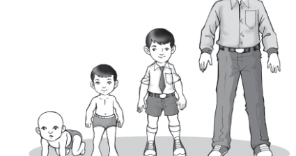 Detail Mewarnai Gambar Perkembangan Bayi Nomer 5