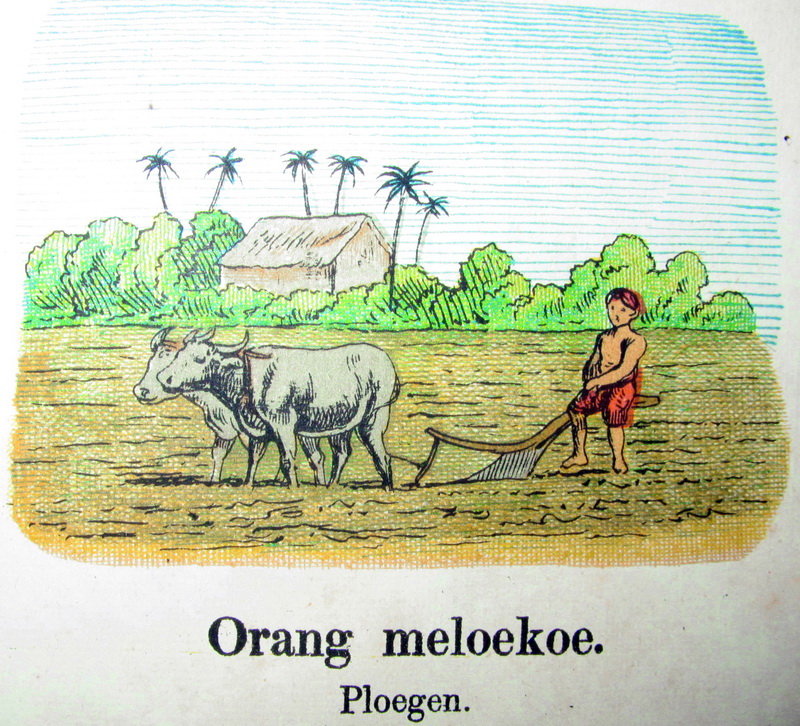 Detail Mewarnai Gambar Petani Di Sawah Nomer 31