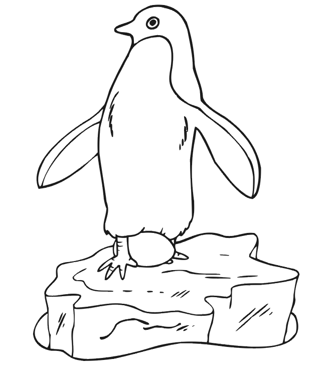Detail Mewarnai Gambar Pinguin Nomer 21