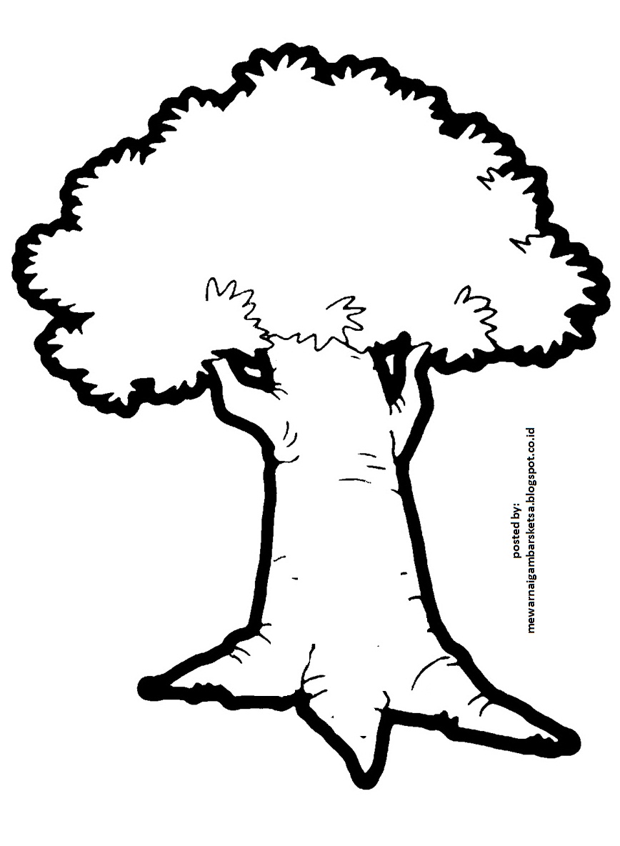 Detail Mewarnai Gambar Pohon Nomer 47