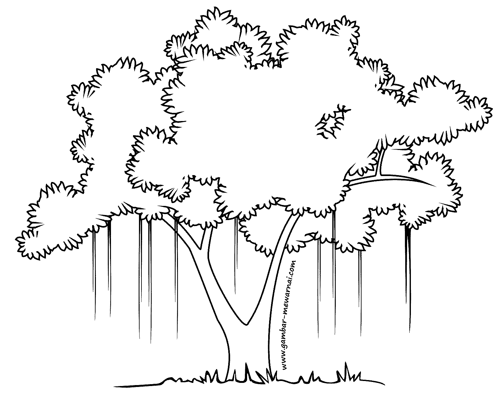 Detail Mewarnai Gambar Pohon Besar Nomer 3