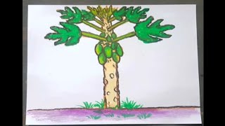 Detail Mewarnai Gambar Pohon Pepaya Nomer 4