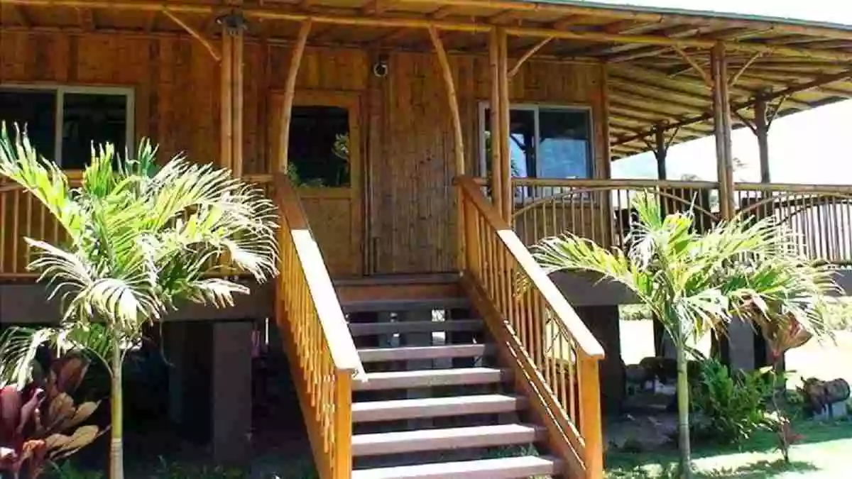 Detail Desain Rumah Dari Bambu Nomer 23